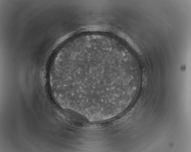 X0000116791213201001081306