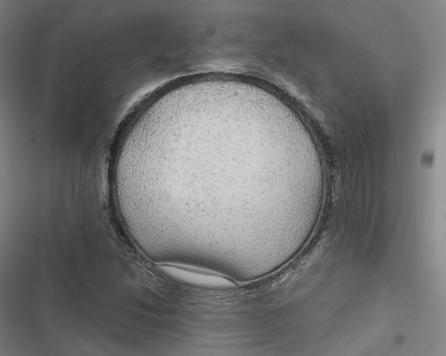 X0000116791214201001081306