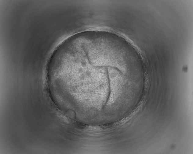 X0000116791215201001081306