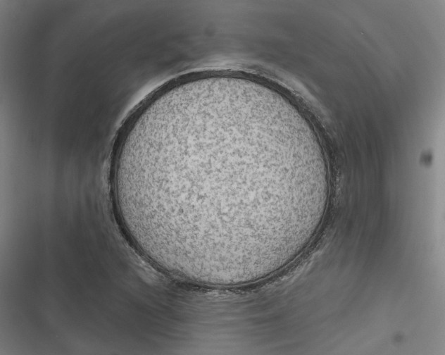 X0000116791216201001081306