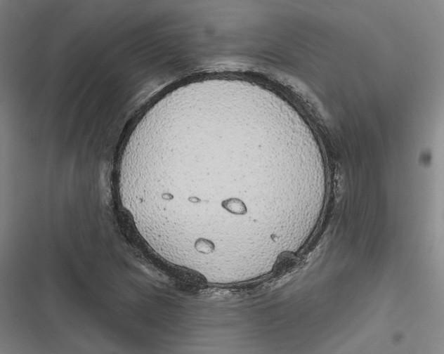 X0000116791217201001081306