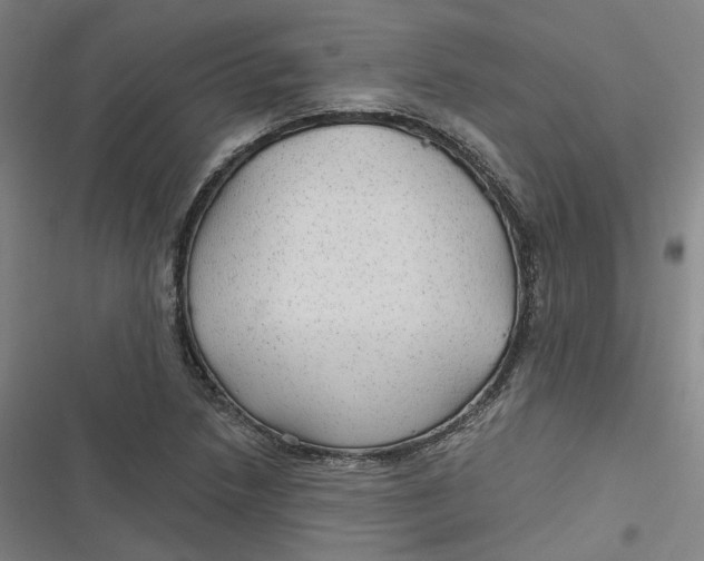 X0000116791218201001081306