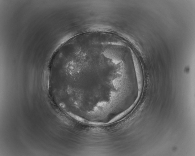 X0000116791219201001081306