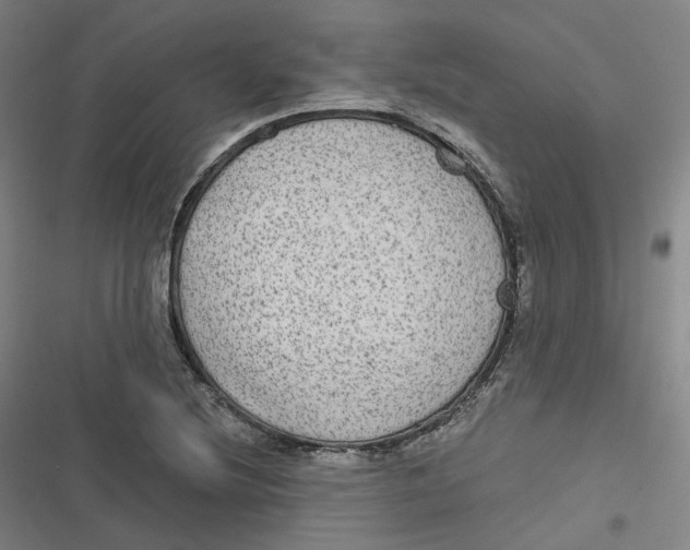 X0000116791220201001081306