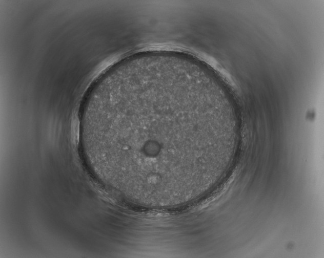 X0000116791221201001081306