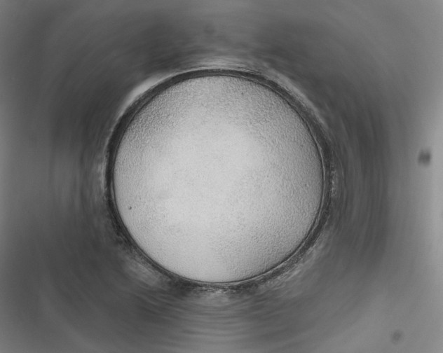 X0000116791222201001081306