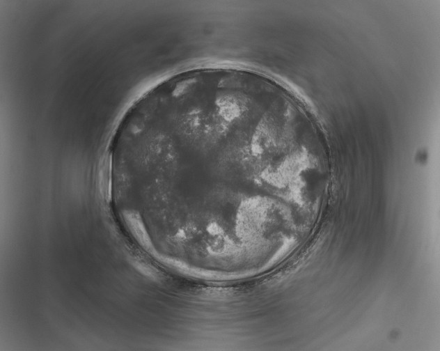 X0000116791223201001081306