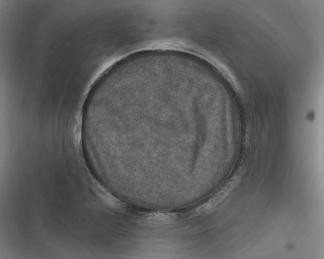 X0000116791224201001081306