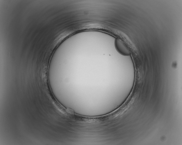 X0000116791225201001081306