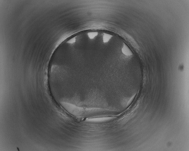 X0000116791226201001081306