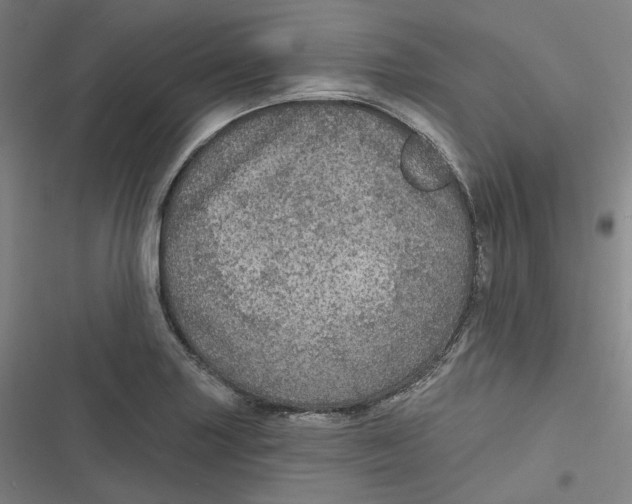 X0000116791227201001081306