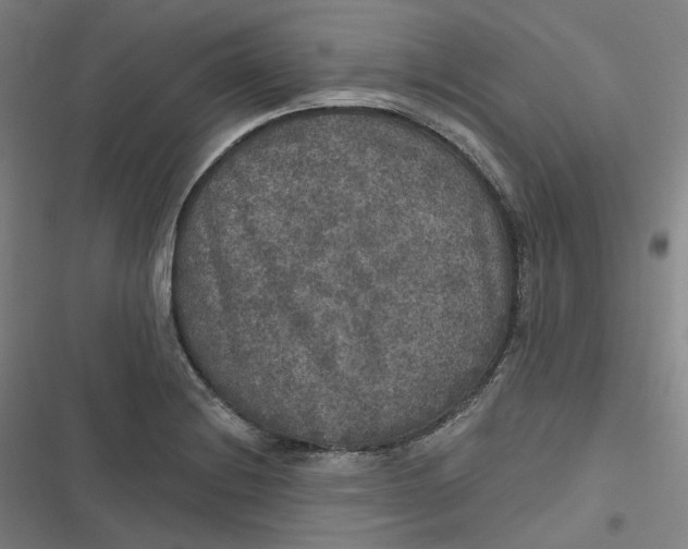 X0000116791228201001081306