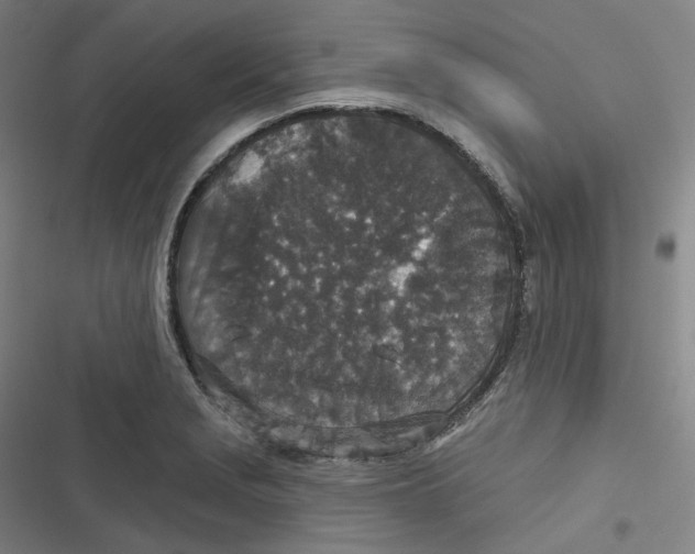 X0000116791229201001081306