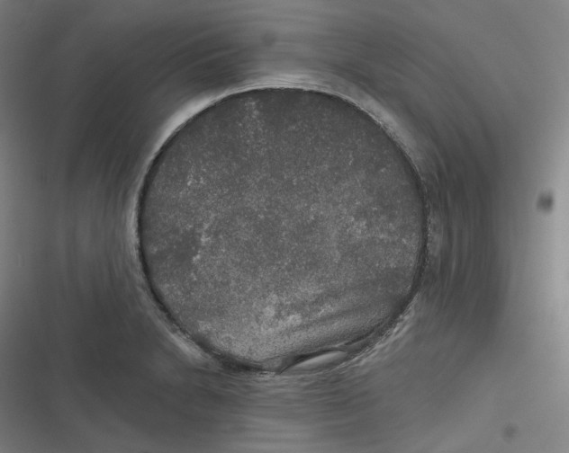 X0000116791230201001081307