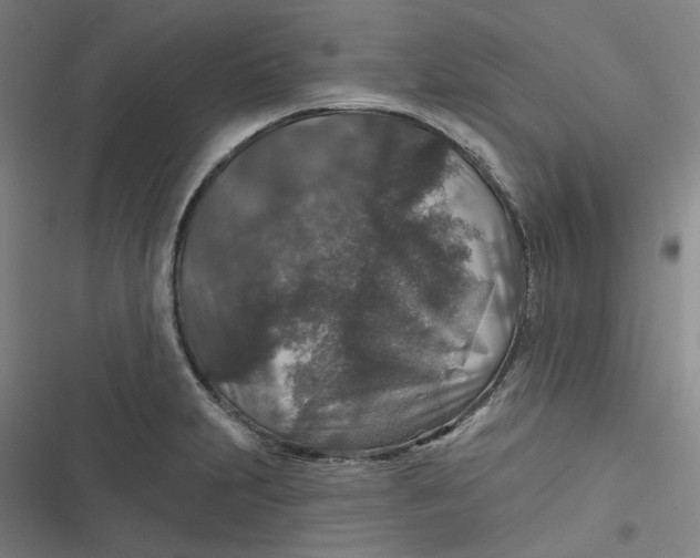 X0000116791231201001081307