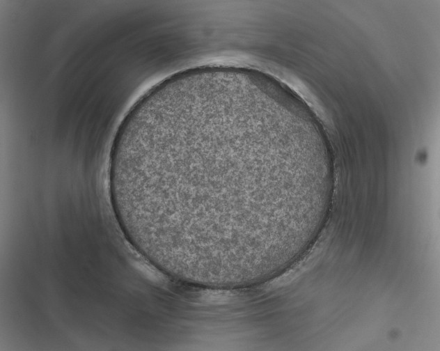 X0000116791232201001081307