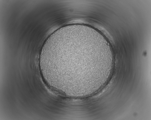 X0000116791233201001081307