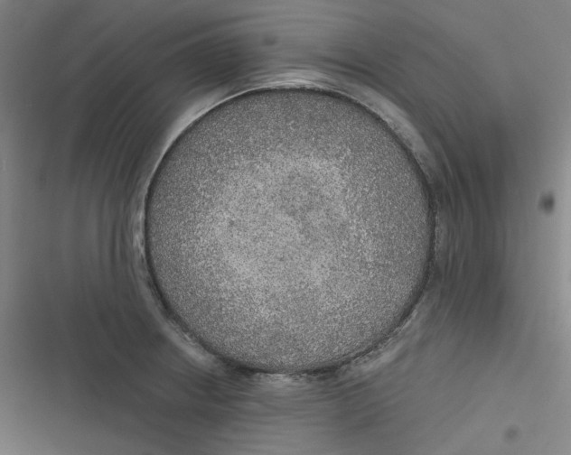 X0000116791234201001081307