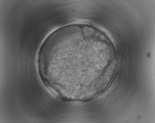 X0000116791235201001081307