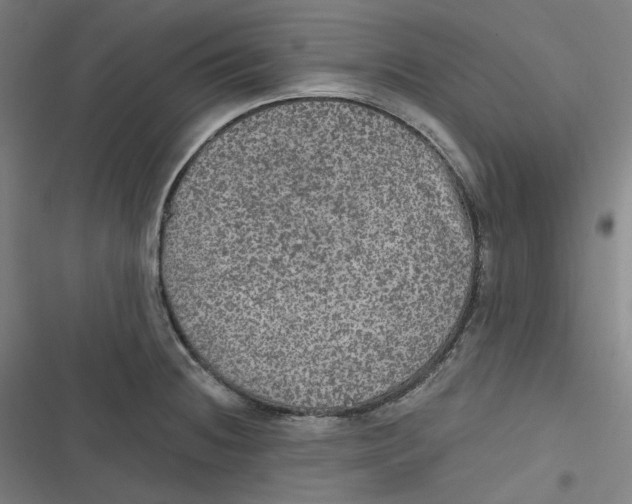 X0000116791236201001081307