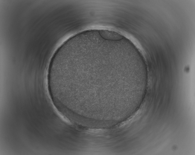 X0000116791237201001081307