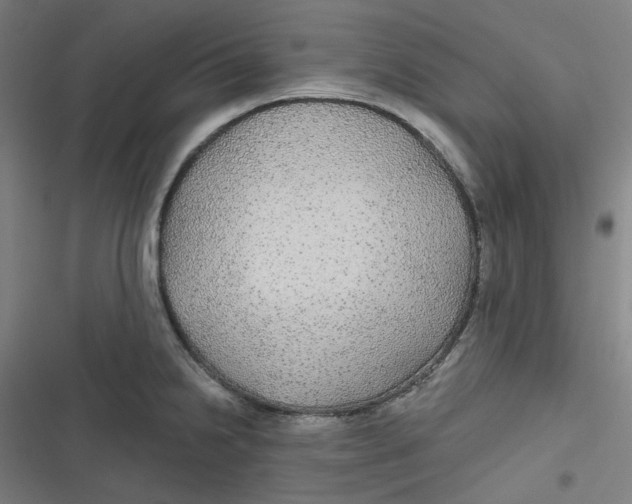 X0000116791238201001081307