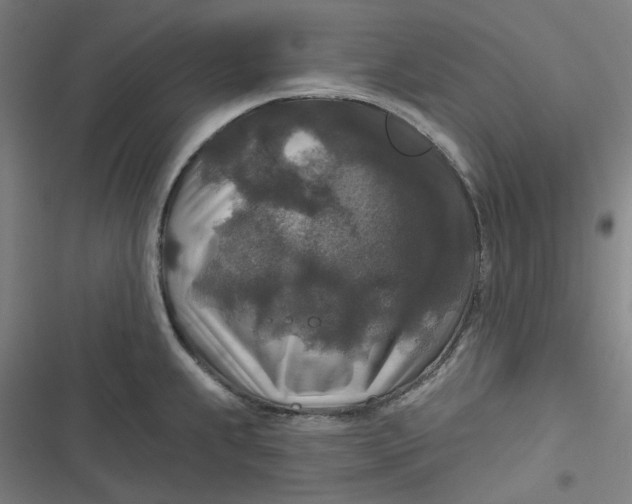 X0000116791239201001081307