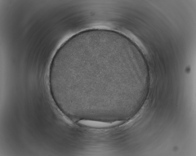 X0000116791240201001081307