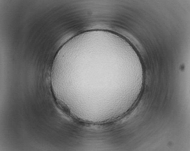 X0000116791241201001081307