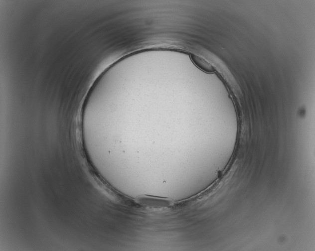 X0000116791242201001081307