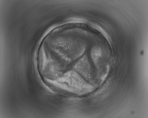 X0000116791243201001081307