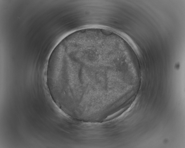 X0000116791244201001081307