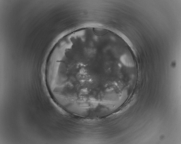 X0000116791245201001081307