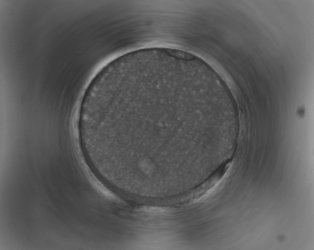 X0000116791246201001081307