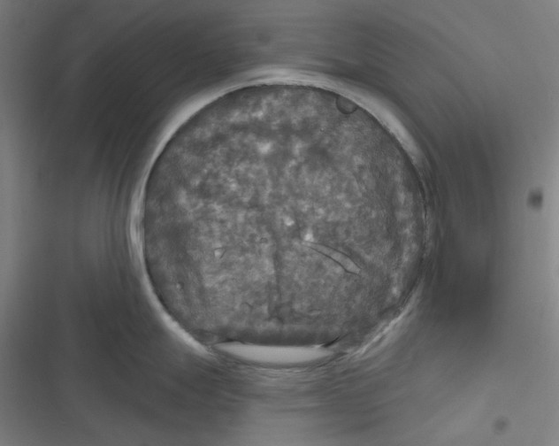 X0000116791247201001081307