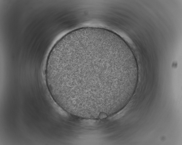 X0000116791248201001081307