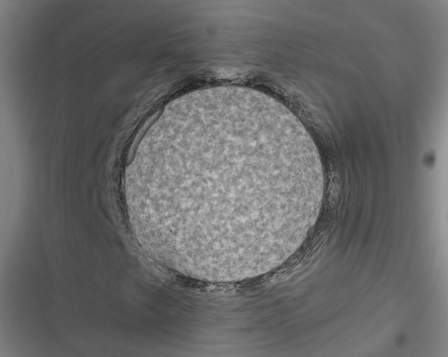 X0000116791249201001081306