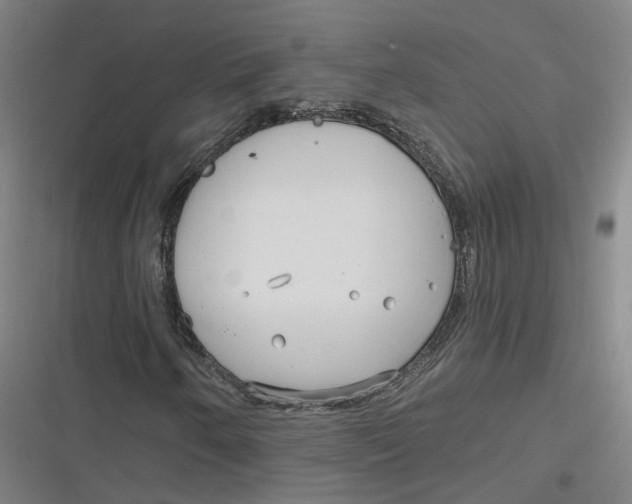 X0000116791250201001081306