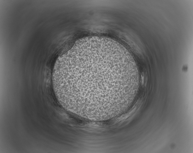 X0000116791251201001081306