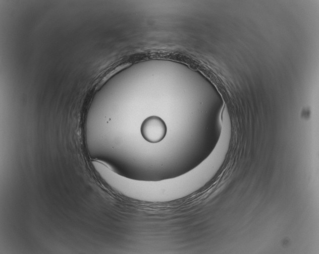 X0000116791252201001081306