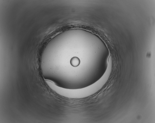 X0000116791253201001081306