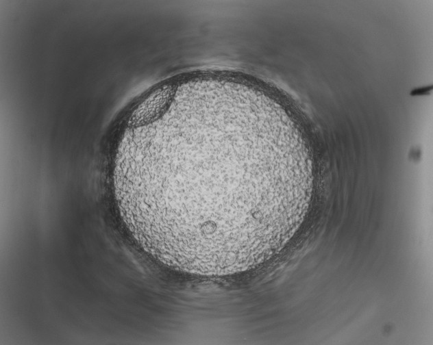 X0000116791255201001081306