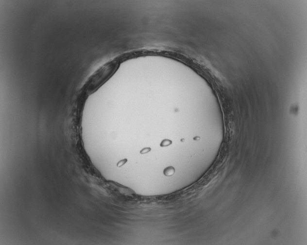 X0000116791256201001081306