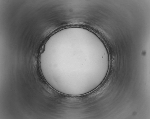 X0000116791257201001081306