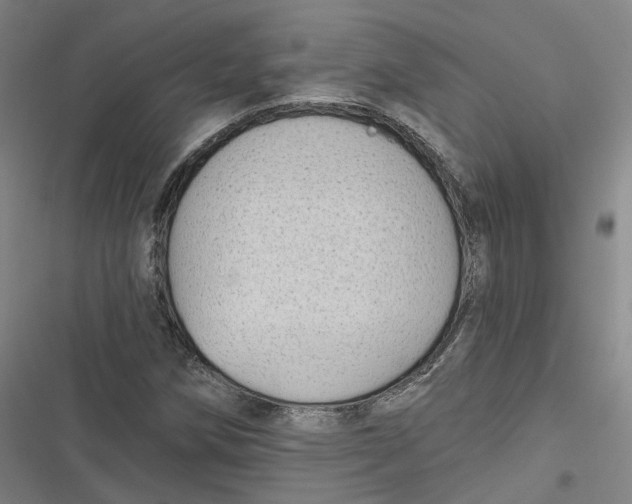 X0000116791258201001081306