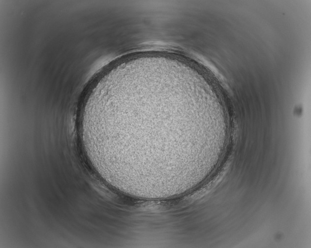 X0000116791259201001081306