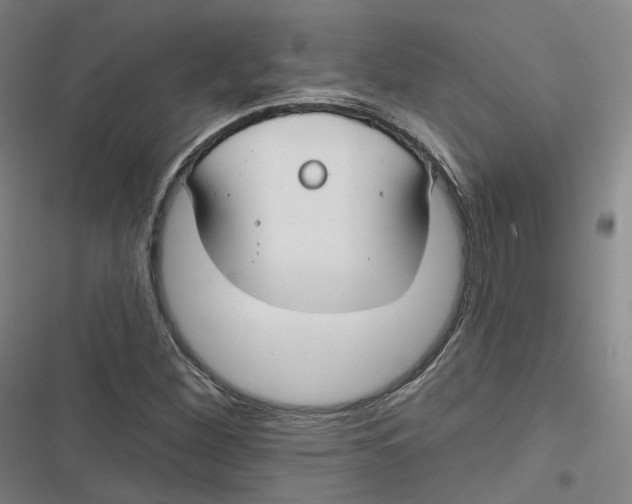 X0000116791260201001081306