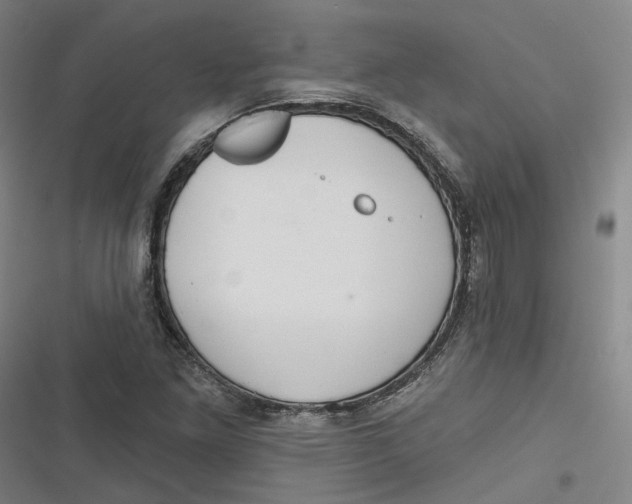 X0000116791261201001081306