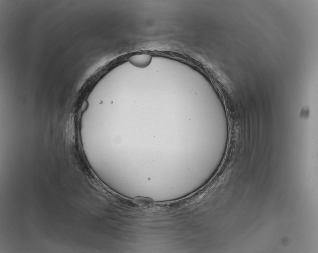 X0000116791262201001081306