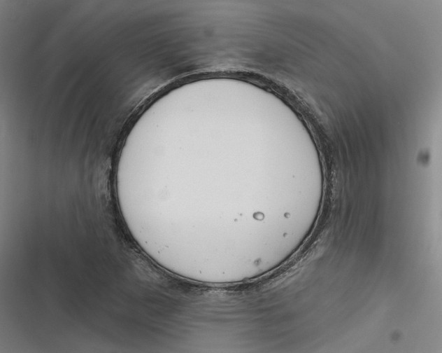 X0000116791265201001081306